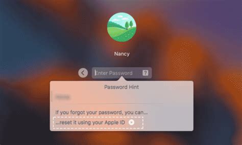 Remove Password On MacBook Pro 的图像结果
