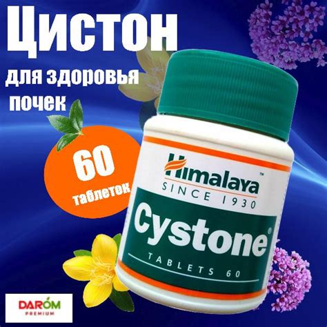 Цистон (Cystone) для почек и мочевыделительной системы, от цистита, 60 ...