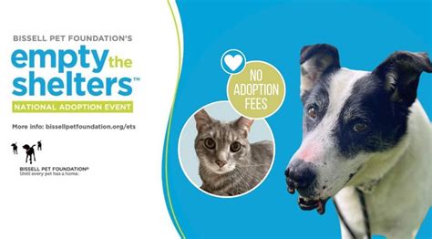Always & Furever Midwest Sanctuary Adoption Event, 14040 West 119th St ...