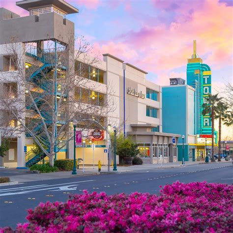 Blue Line Arts - Placer Artists Tour