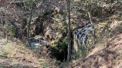Pitt and Sylvan Springs Recreation Area – Florida Hikes