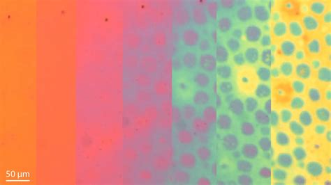Stanford scientists create shape-shifting material that changes color ...