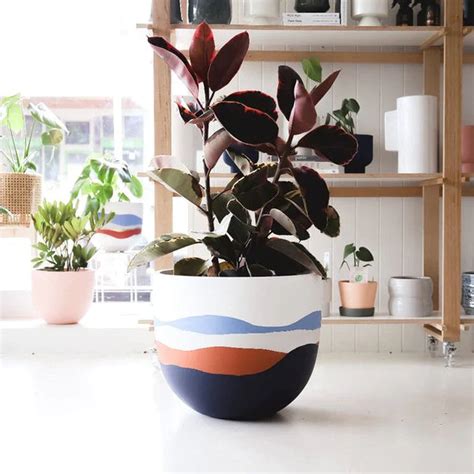 Bloom Planter (Set of 4) – Potwala