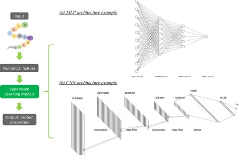 Image result for Machine Learning for Protein Engineering