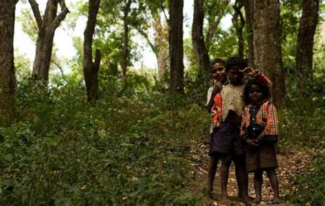 Soliga tribe in Karnataka secures rights to tiger reserve ...