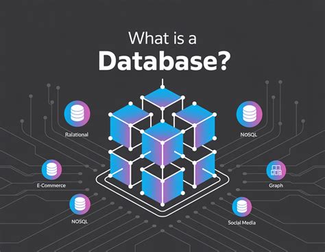 Image result for Data Types in Database with Examples