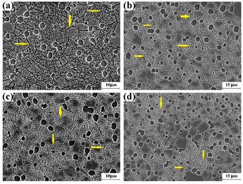 β Grain Size Inhomogeneity of Large Scale Ti-5Al-5V-5Mo-3Cr Alloy Bulk ...