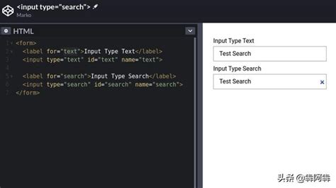 HTML Type 的图像结果