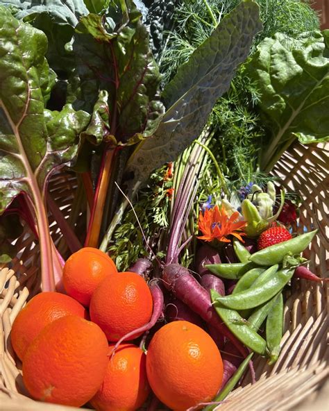 Meet Kathleen Opeka — Tucson, Arizona