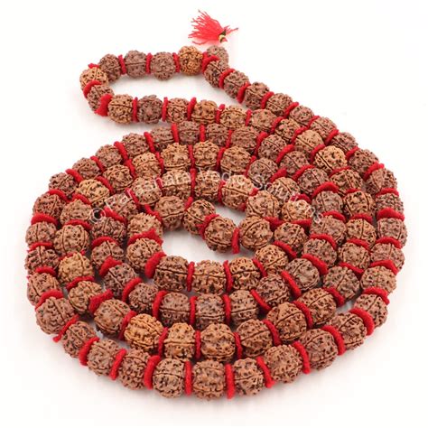ARKAM 5 mukhi Rudraksh Kantha/Rudraksha Kantha for Wearing and Worship ...