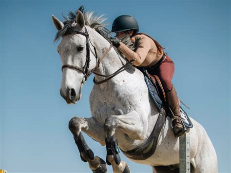 Tryon Equestrian Center – Visit Saluda NC