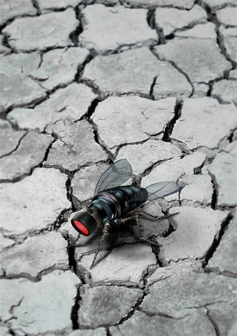 Spy Robot Fly Insects 的图像结果