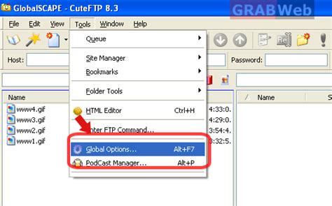 How to upload files in FTP client in Binary/ASCII mode - GRABWEB [India]