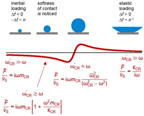 Studying Soft Interfaces with Shear Waves: Principles and Applications ...