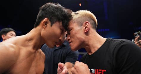 Harvard Python Programming Course 的图像结果