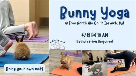 Bunny Yoga @ True North Ale Co. in Ipswich, MA, True North Ale Company ...