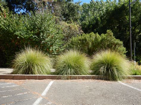 KPG Nursing - Nursing Jobs in California - 10 jobs found