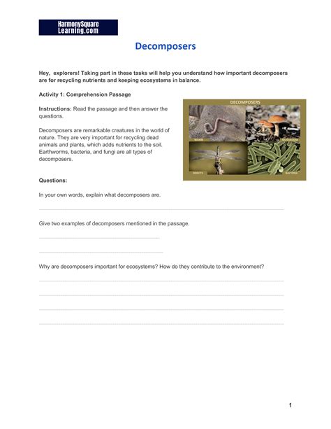 What are Decomposers? Video and Worksheets for Kids — Harmony Square ...