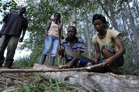 Local People of Forest and Wildlife 的图像结果