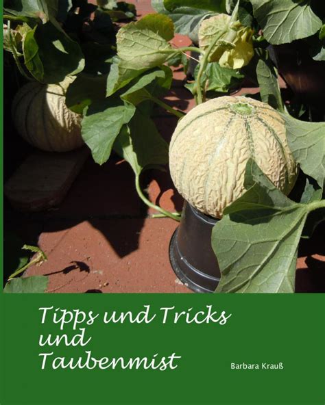 Pflanzen Kleinanzeigen