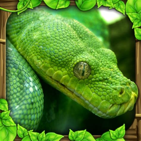 Image result for How to Play Snake Simulator