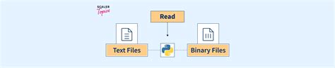 Image result for Read Function in Python