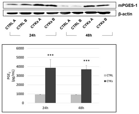 Effect of NIR Laser Therapy by MLS-MiS Source on Fibroblast Activation ...