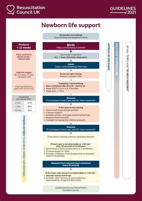Image result for Neonatal Resus Algorithm