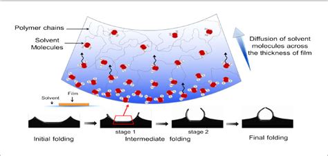 Pijush Ghosh - Research