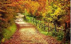 High Resolution Fall Desktop Backgrounds Hd by Desktop Fall Wallpapers High Quality Pixelstalk Net High Resolution Fall Desktop Backgrounds Hd