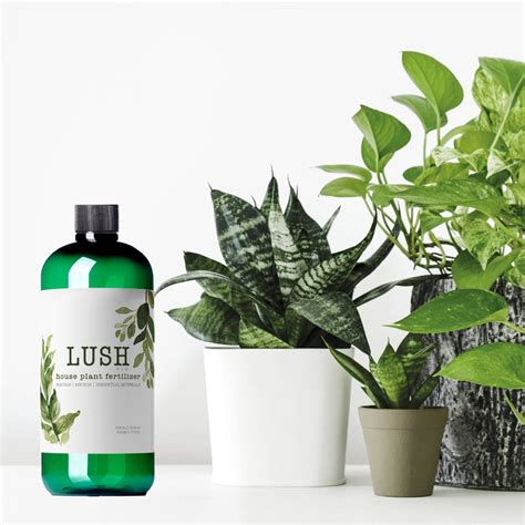 Lush House Plant Fertilizer – NilocG