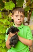 Image result for Rabbit Nursing