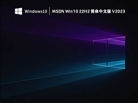 MSDN Win10专业版下载_MSDN Win10 22H2 5月最新简体中文版镜像下载-系统部落