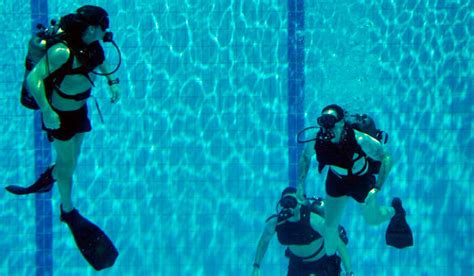 Snorkelling In Singapore 2025: A Guide For 4 Best Spots, Courses & More