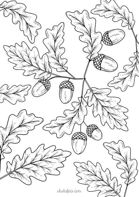 Image result for September Coloring Pages