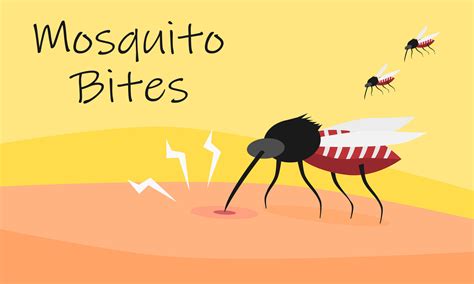 A mosquito bites human skin. Dengue fever or Malaria outbreak concept. Vector illustration ...