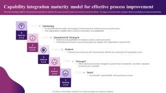 Image result for Service Integration Maturity Model