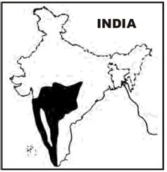 Geography of India - Solved Questions (1995-2002) - UPSC Topic Wise ...