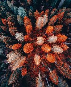 Fall Backgrounds 2019 by Fall 2019 Wallpapers Wallpaper Cave Fall Backgrounds 2019