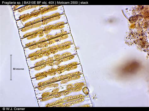 Image result for Module Machine System