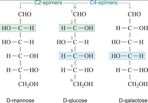 Epimers are a pair of diastereomeric aldoses that difler only in bhu ...