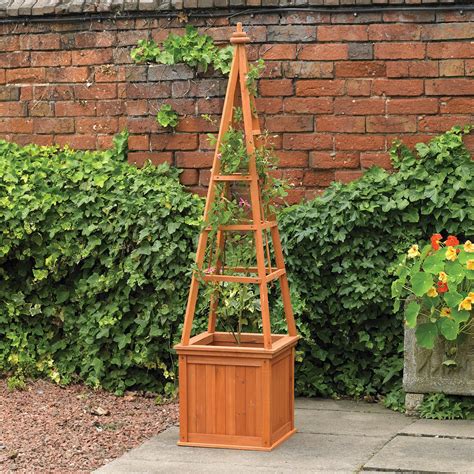 Trellis For Climbing Plants In Pots at Bill Sandra blog
