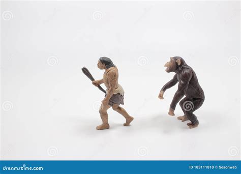 Human Evolution Scale 的图像结果