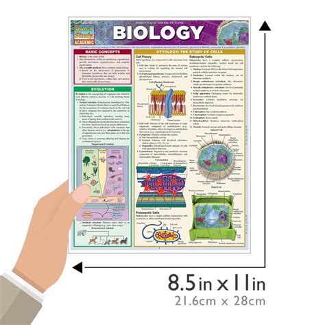 QuickStudy | Biology Laminated Study Guide | Geographia Maps