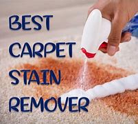 Image result for Best Carpet Stain Remover for Old Stains