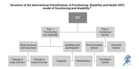 Image result for ICF Body Structure and Function