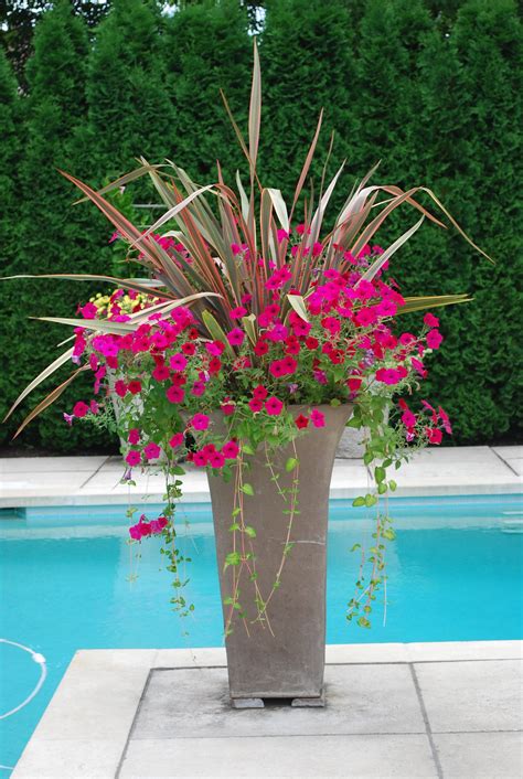 Summer Container Plantings | Deborah Silver & Co. : Deborah Silver & Co.