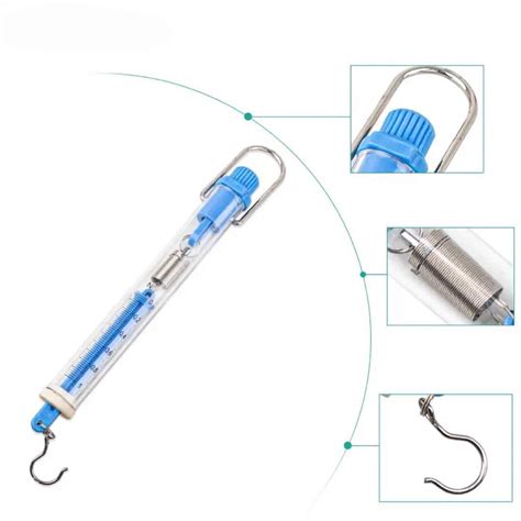 Image result for How to Make a Spring Balance Using a Rubber Band