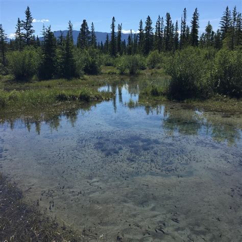 THUNDER HILL PROVINCIAL PARK (2025) All You Need to Know BEFORE You Go ...