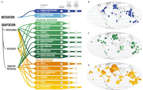 Ocean conservation boosts climate change mitigation and adaptation - Stockholm Resilience Centre